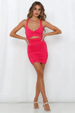 Back To The Start Dress Hot Pink