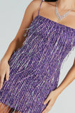 Khloe Sequin Fringe Party Dress